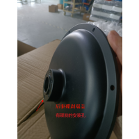 Voilamart Electric Bike 48V 1000W Rear Wheel Covers for Disc Side with Motor Code ZCH